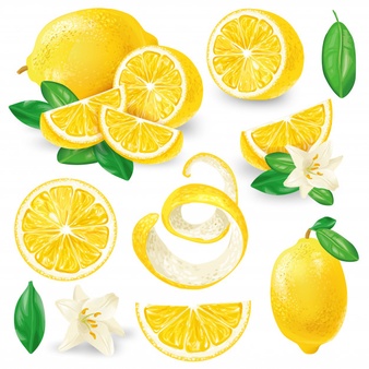 different-lemons-with-leaves-flowers-vector_1441-736